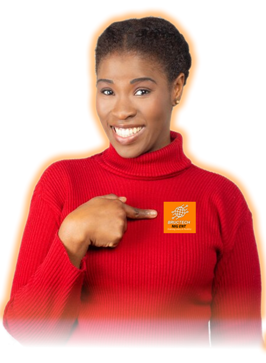 Bructech IT Solutions — Professional services Nigeria